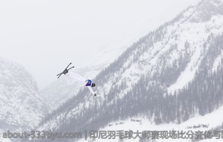 印尼羽毛球大师赛现场比分变化与比赛亮点