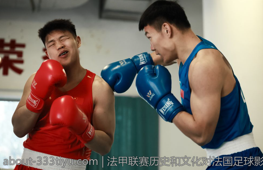 法甲联赛历史和文化对法国足球影响